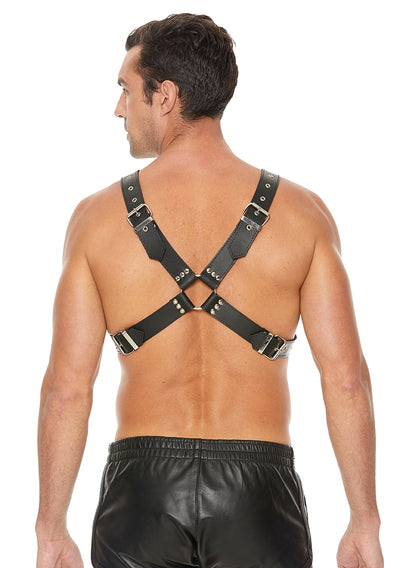 Men's Large Buckle Harness - One Size - Black