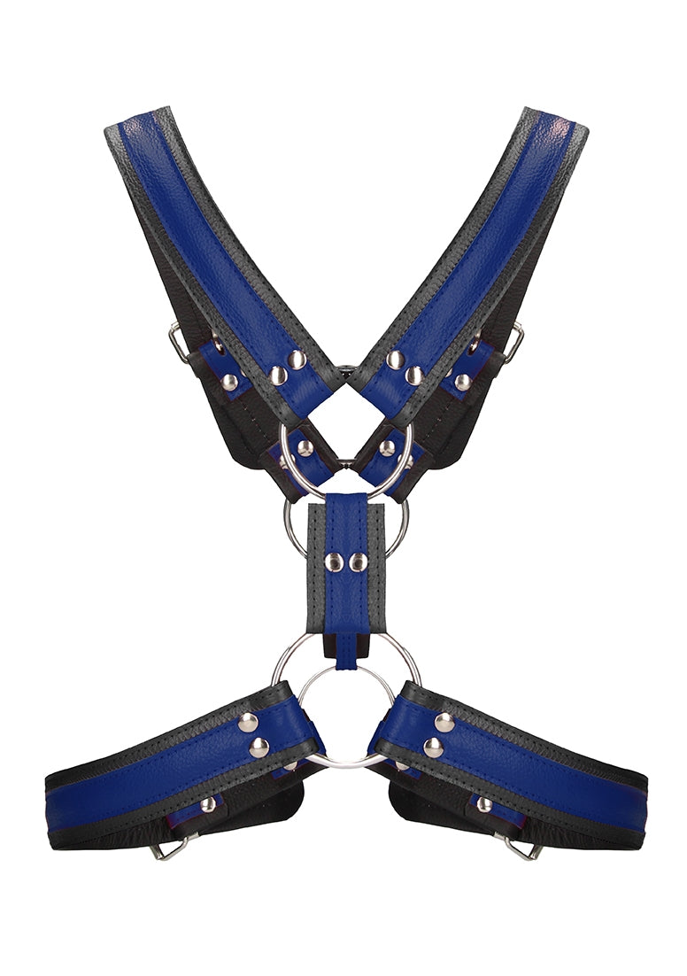 Scottish Harness - S/m - Blue