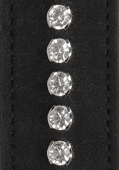 Diamond Studded Collar With Leash - Black